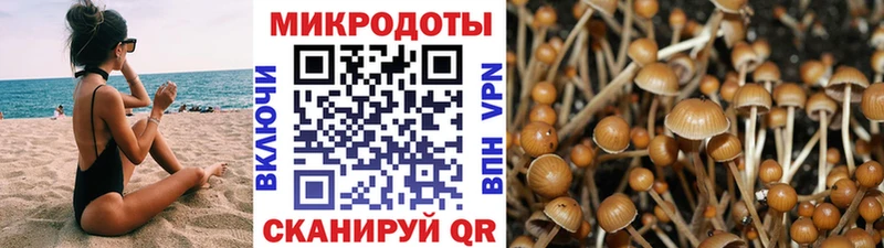 Галлюциногенные грибы MAGIC MUSHROOMS  сколько стоит  Лукоянов 